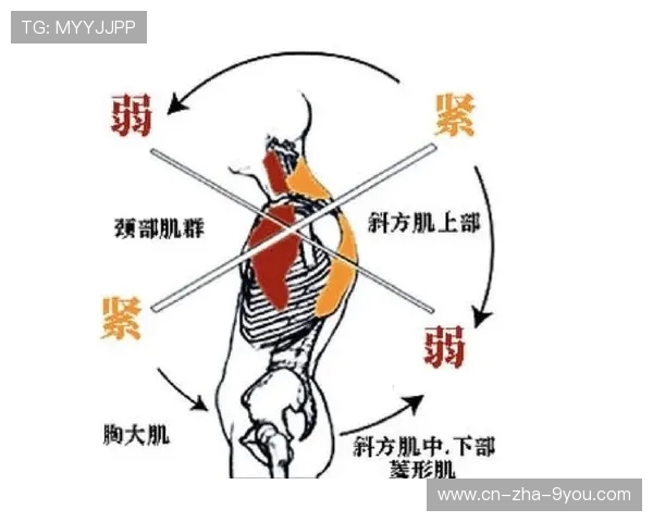 从零基础到高手之路羽毛球技巧与训练全解析