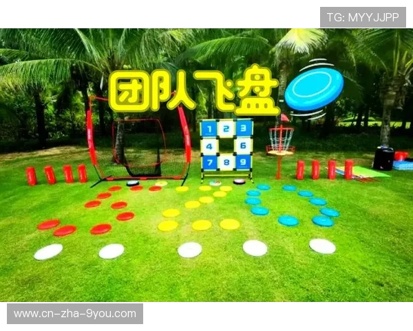 飞盘运动的魅力与挑战：深入了解西安飞盘队的耐力与团队精神