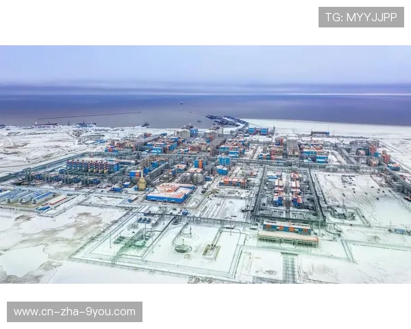 亚马尔地区的能源战略与全球气候变化的应对措施探讨